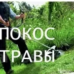 Покос травы,  бурьяна