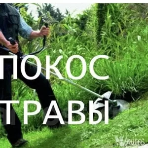 Покос травы,  бурьяна