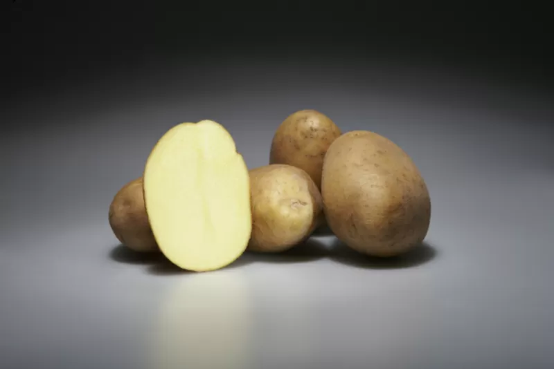 Немецкий семенной картофель 2